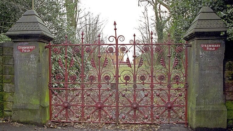 strawberry field