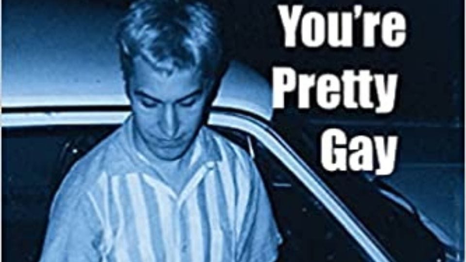 you're pretty gay