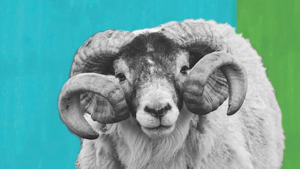 Ram On